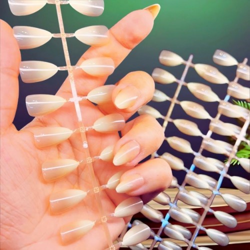 artificial press-on nail tips 5set 5 colour