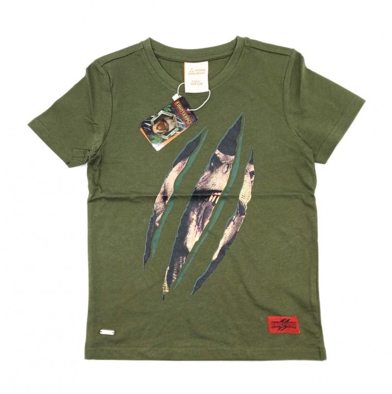 Boys T-shirt